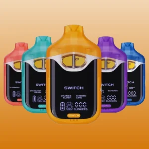 boutiq switch v4